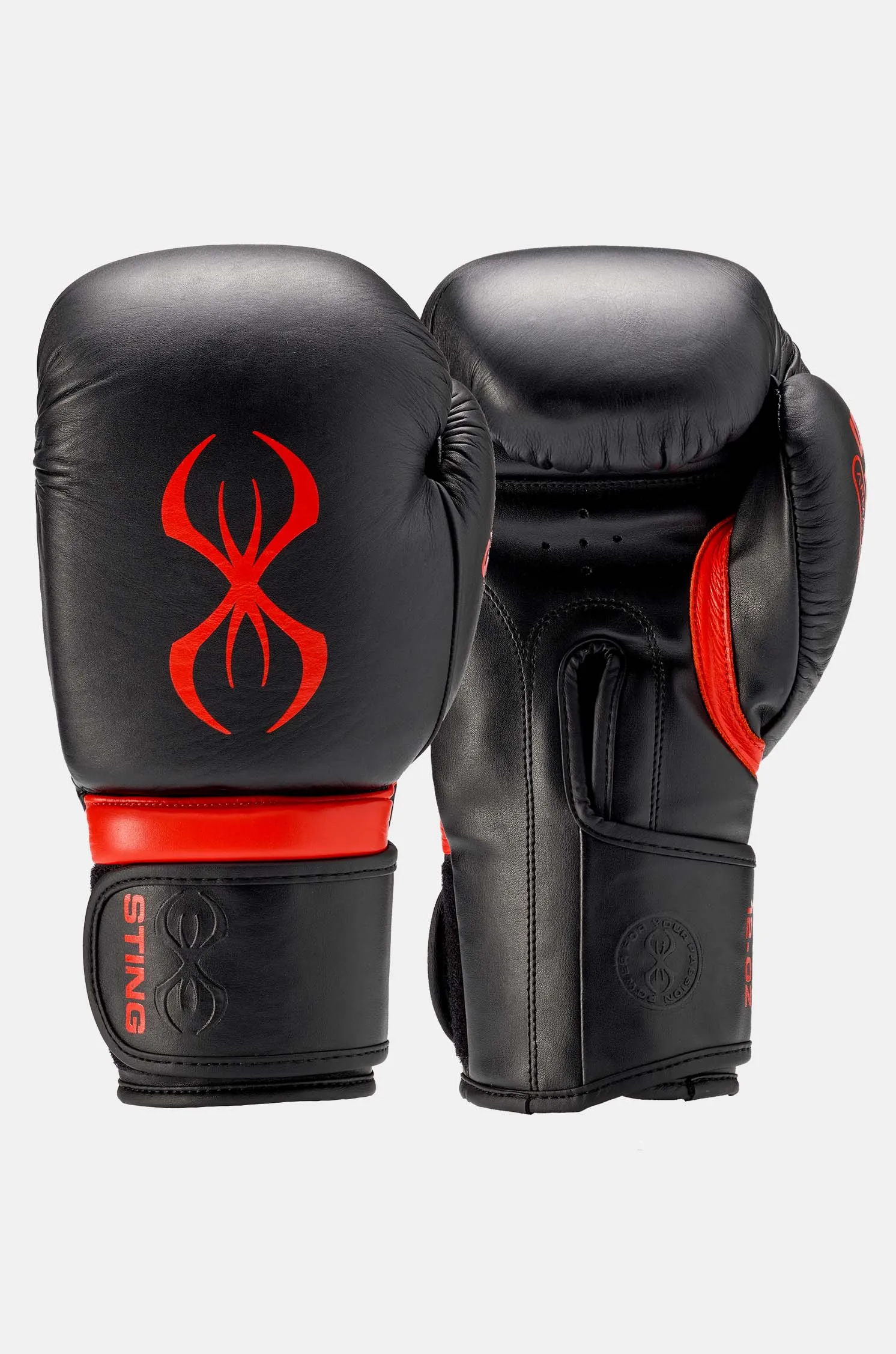 Armapro Boxing Gloves