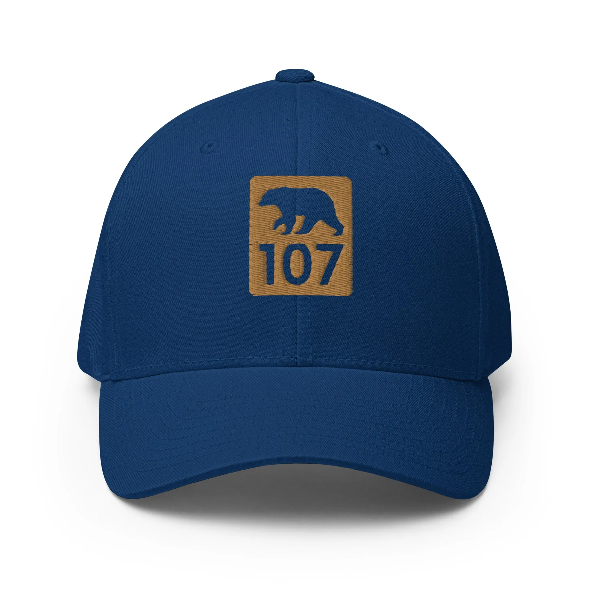 Bear 107 Structured Twill Cap