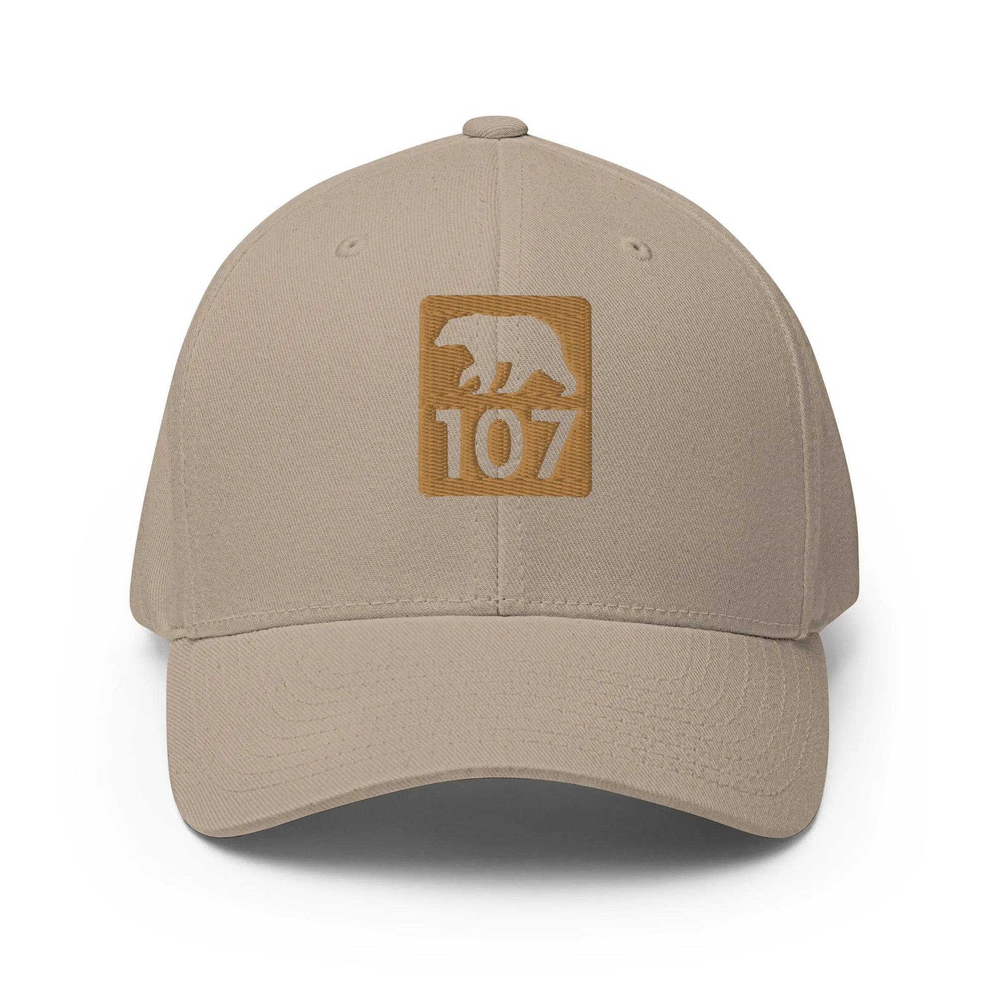 Bear 107 Structured Twill Cap