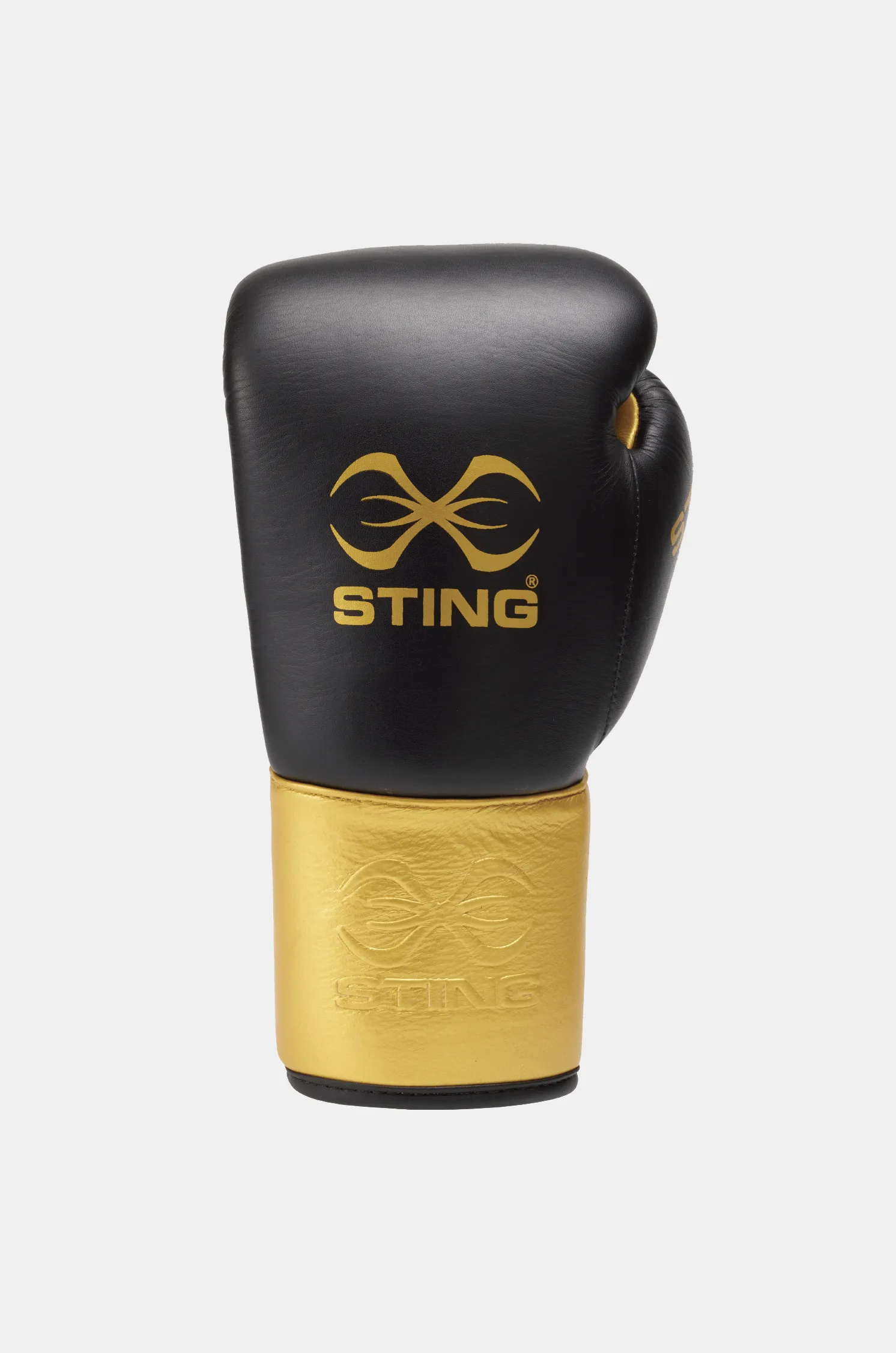 Evolution Lace Up Boxing Gloves