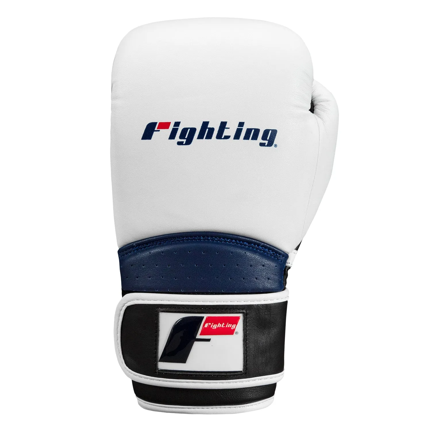 Fighting Ferocity Leather Training Gloves