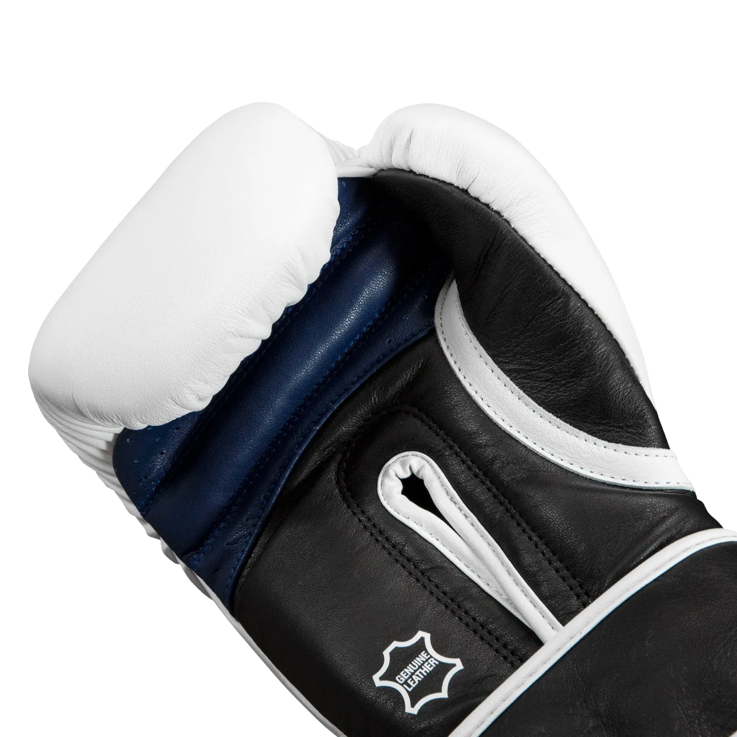 Fighting Ferocity Leather Training Gloves