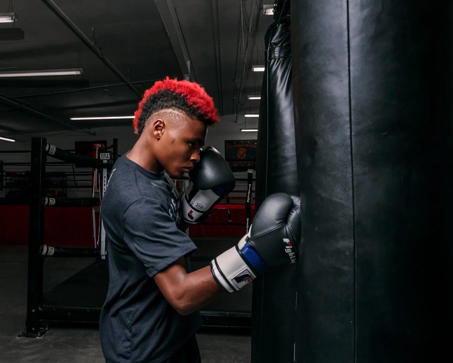 Fighting Ferocity Leather Training Gloves