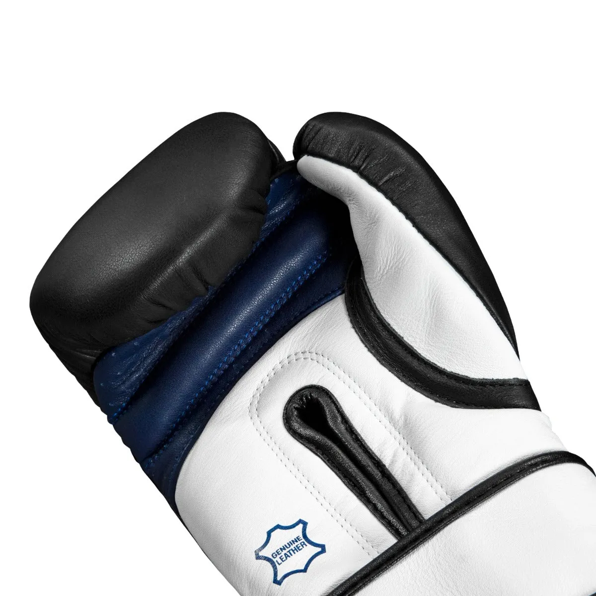 Fighting Ferocity Leather Training Gloves