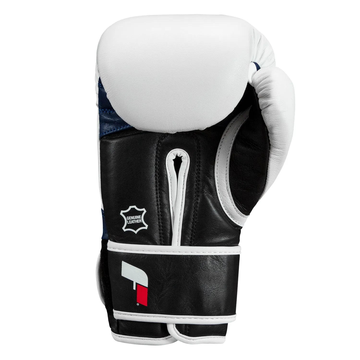 Fighting Ferocity Leather Training Gloves