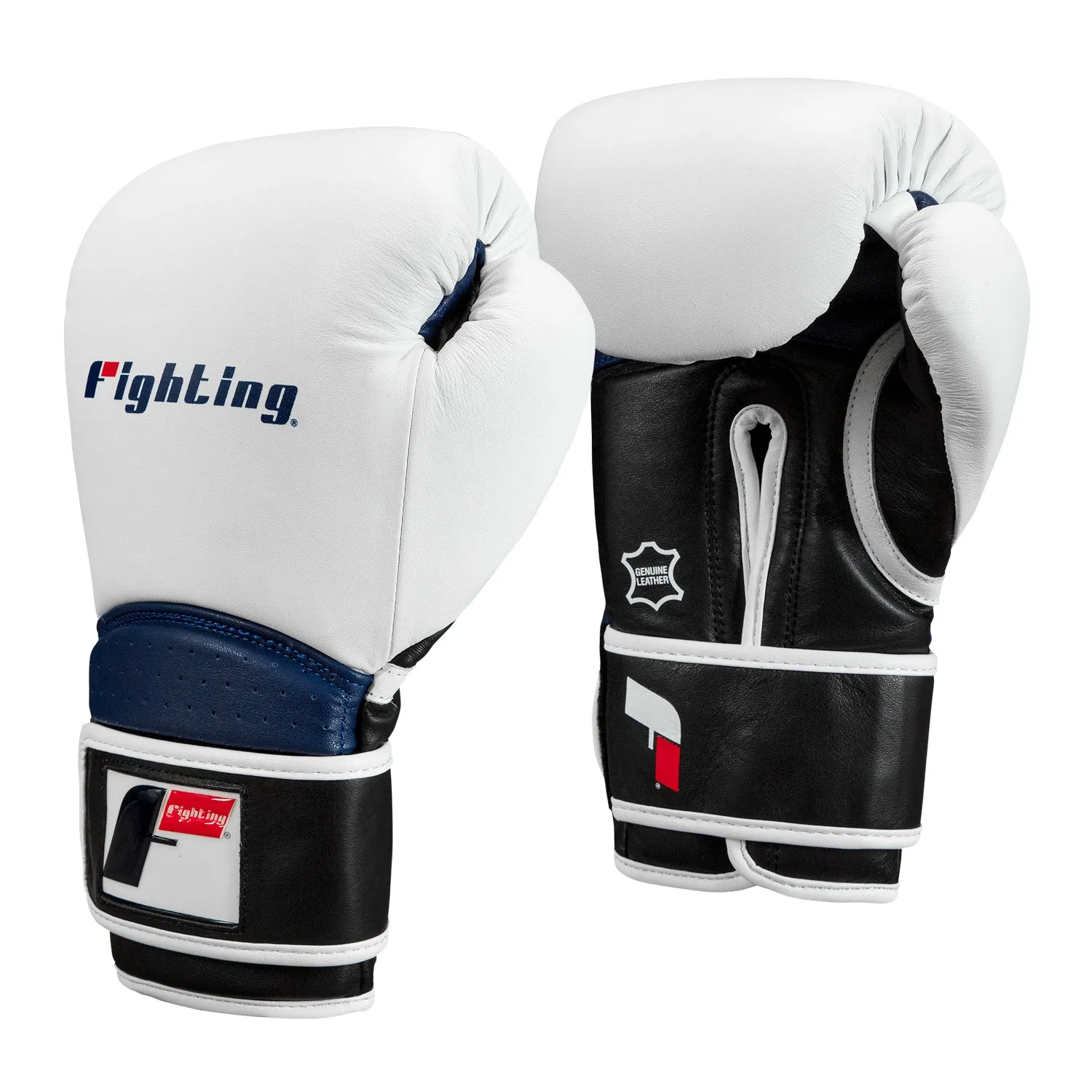 Fighting Ferocity Leather Training Gloves