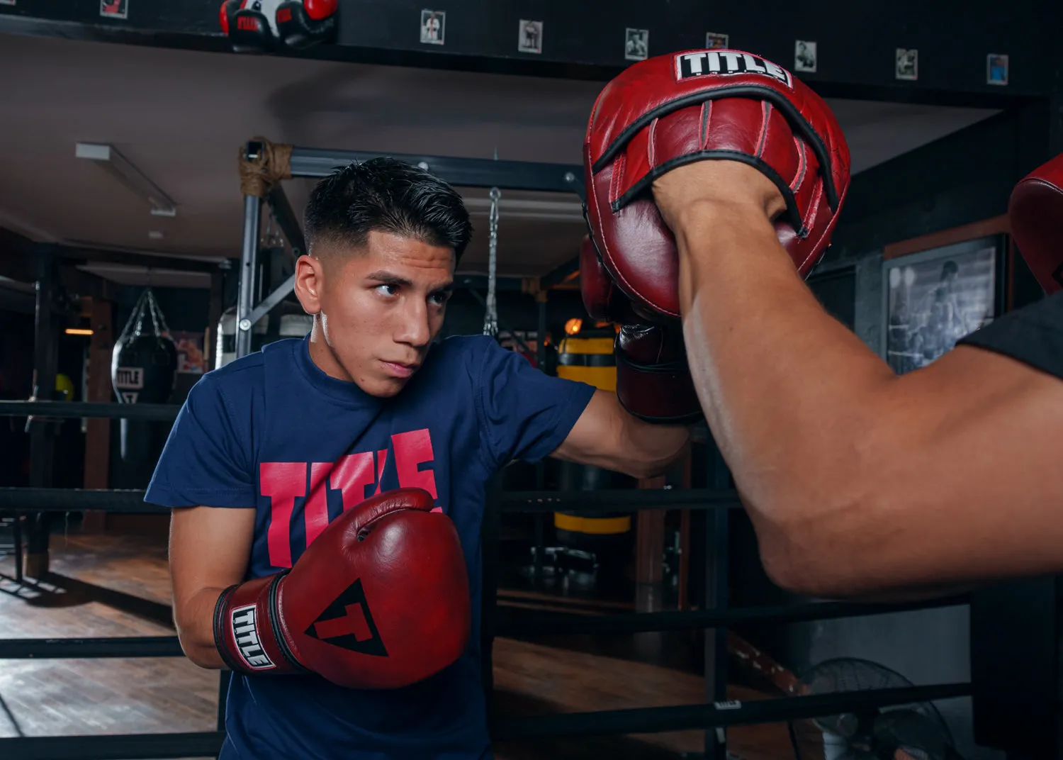 TITLE Boxing Blood Red Leather Training Gloves