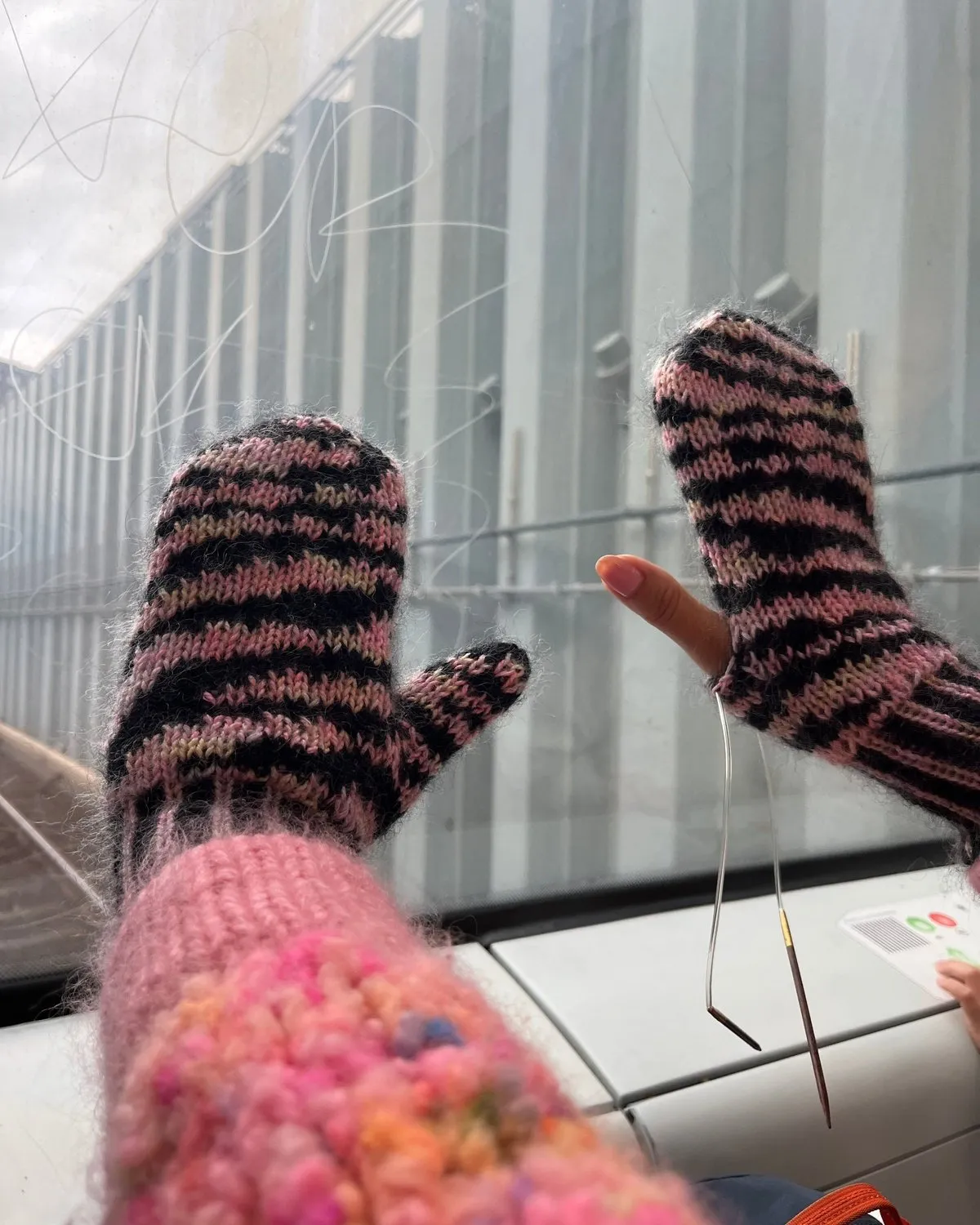 Zebra Mittens English